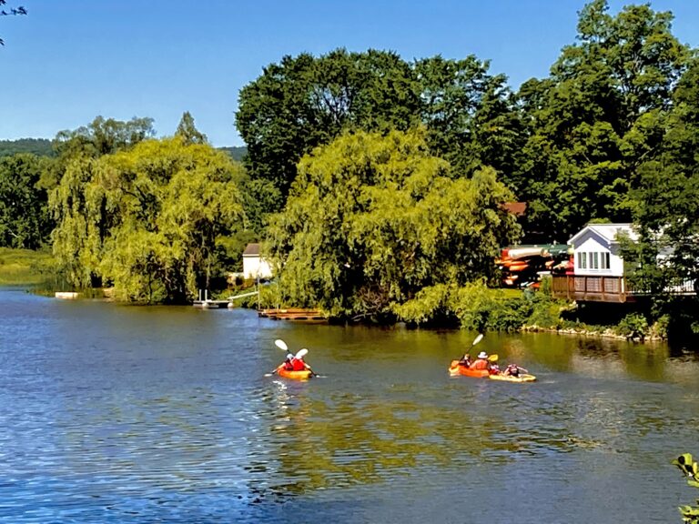 Two people kayak on a calm river near trees and houses under a clear blue sky.