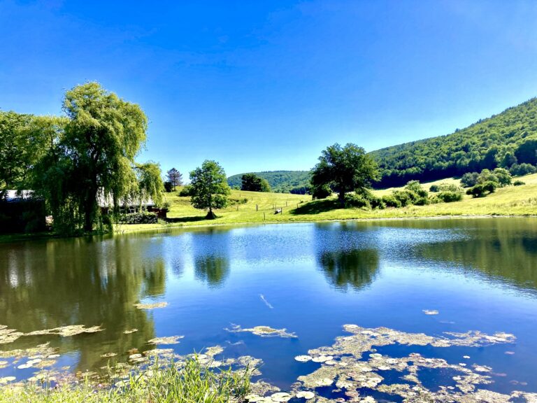 A clear pond reflects green hills, trees, and a bright blue sky on a sunny day.