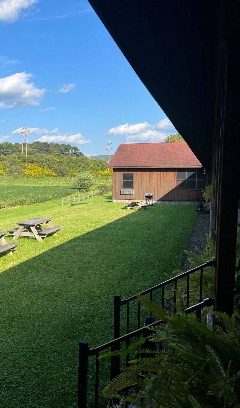 Picnic tables on a grassy lawn beside a brown building, with fields and blue sky in the background.